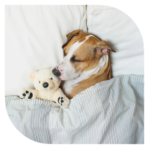 היתרונות של מיטות בעבודת יד – איכות שמרגישים